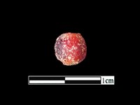 玻璃珠藏品圖，第1張