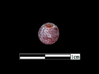 玻璃珠藏品圖，第1張