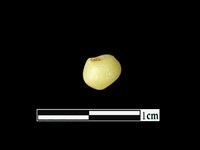 玻璃珠藏品圖，第1張