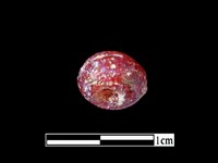 玻璃珠藏品圖，第1張