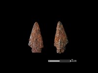 箭頭藏品圖，第1張