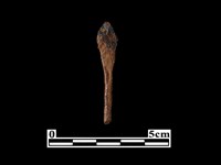 箭頭藏品圖，第2張