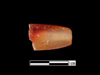 瑪瑙珠藏品圖，第1張