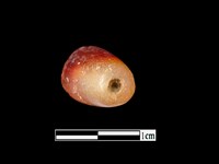 瑪瑙珠藏品圖，第2張