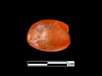 瑪瑙珠藏品圖，第2張