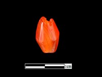 瑪瑙珠藏品圖，第3張