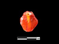 玉髓珠藏品圖，第2張