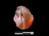 瑪瑙珠藏品圖，第2張