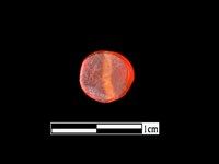 玉髓珠藏品圖，第2張