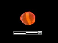 玉髓珠藏品圖，第2張