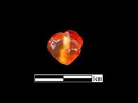 玉髓珠藏品圖，第3張