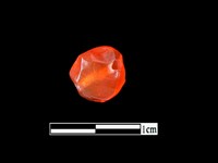 玉髓珠藏品圖，第2張