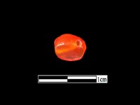 玉髓珠藏品圖，第3張