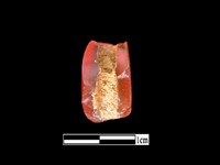 玉髓珠藏品圖，第2張