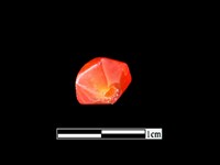 玉髓珠藏品圖，第4張