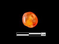 玉髓珠藏品圖，第2張