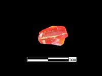 玉髓珠藏品圖，第2張