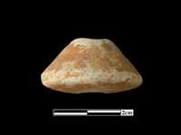 陶紡輪藏品圖，第1張