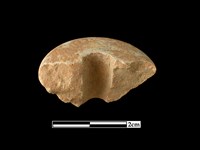 陶紡輪藏品圖，第3張