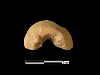 陶紡輪藏品圖，第2張