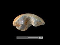 陶紡輪藏品圖，第2張