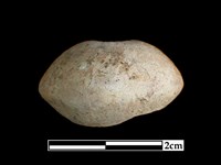 陶紡輪藏品圖，第1張