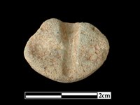 陶紡輪藏品圖，第2張