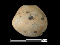 陶紡輪藏品圖，第1張