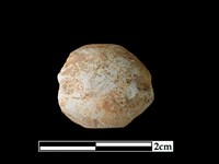 陶紡輪藏品圖，第1張