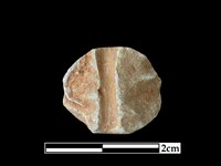 陶紡輪藏品圖，第2張