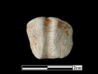 陶紡輪藏品圖，第2張