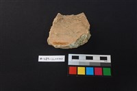 陶片藏品圖，第2張