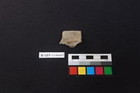 陶片藏品圖，第2張