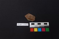 陶片藏品圖，第2張