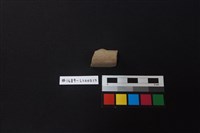 陶片藏品圖，第1張