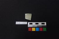 瓷片藏品圖，第1張