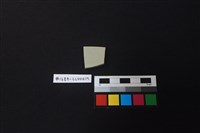 瓷片藏品圖，第2張