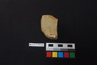 陶片藏品圖，第2張