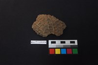 陶片藏品圖，第1張