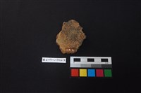 陶片藏品圖，第2張