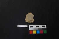 陶片藏品圖，第2張