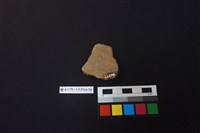 陶片藏品圖，第2張