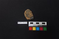 陶片藏品圖，第2張