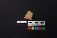 陶片藏品圖，第1張