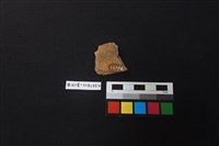 陶片藏品圖，第2張