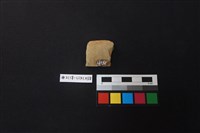 陶片藏品圖，第2張