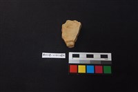 陶片藏品圖，第2張