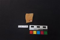 陶片藏品圖，第2張