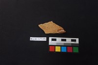 陶片藏品圖，第2張