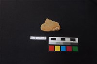 陶片藏品圖，第2張